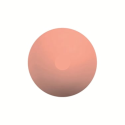 Gymo Pro Series Silikon Pilates Topu 20cm Somon